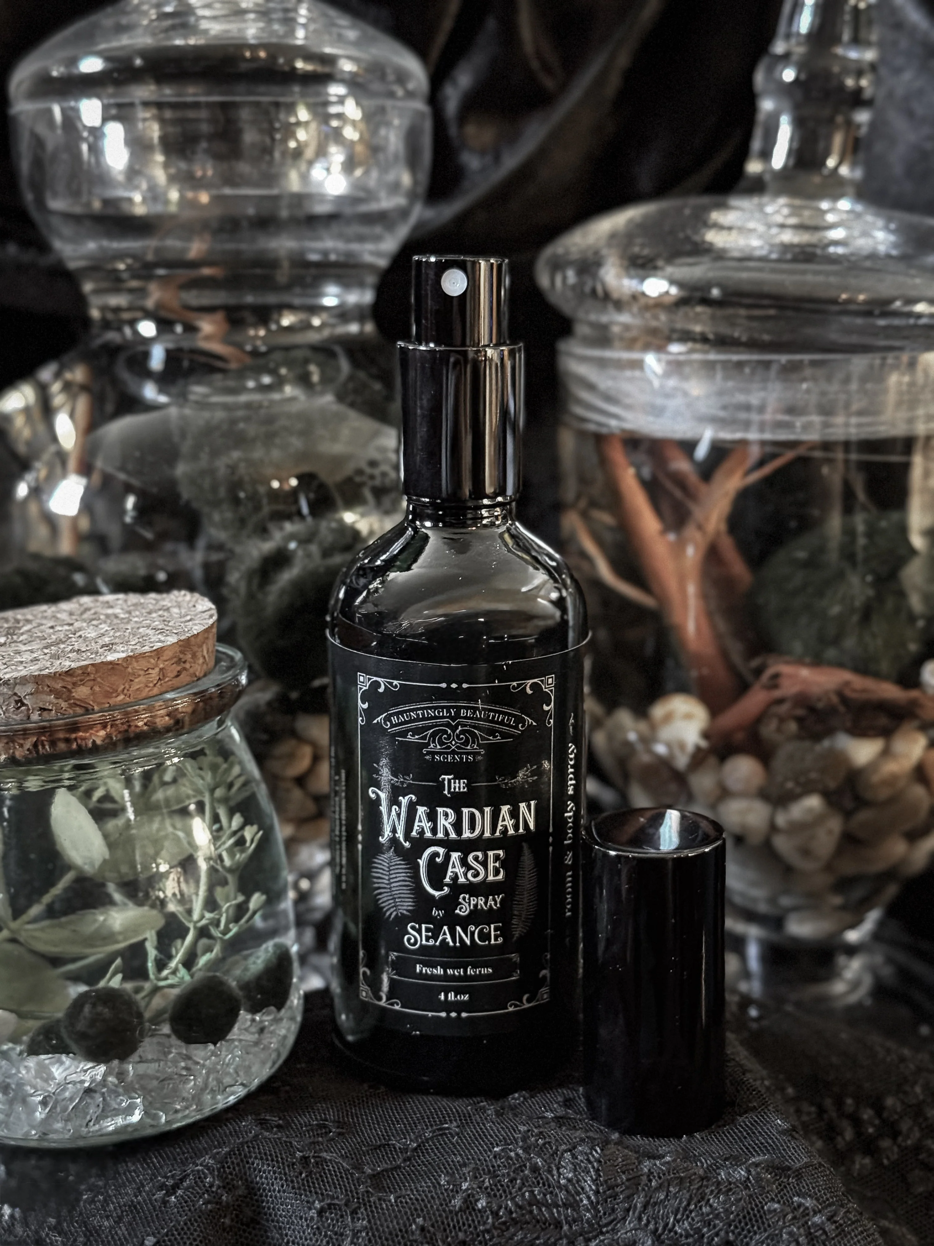 The Wardian Case Spray (fern terrarium) - Image 10