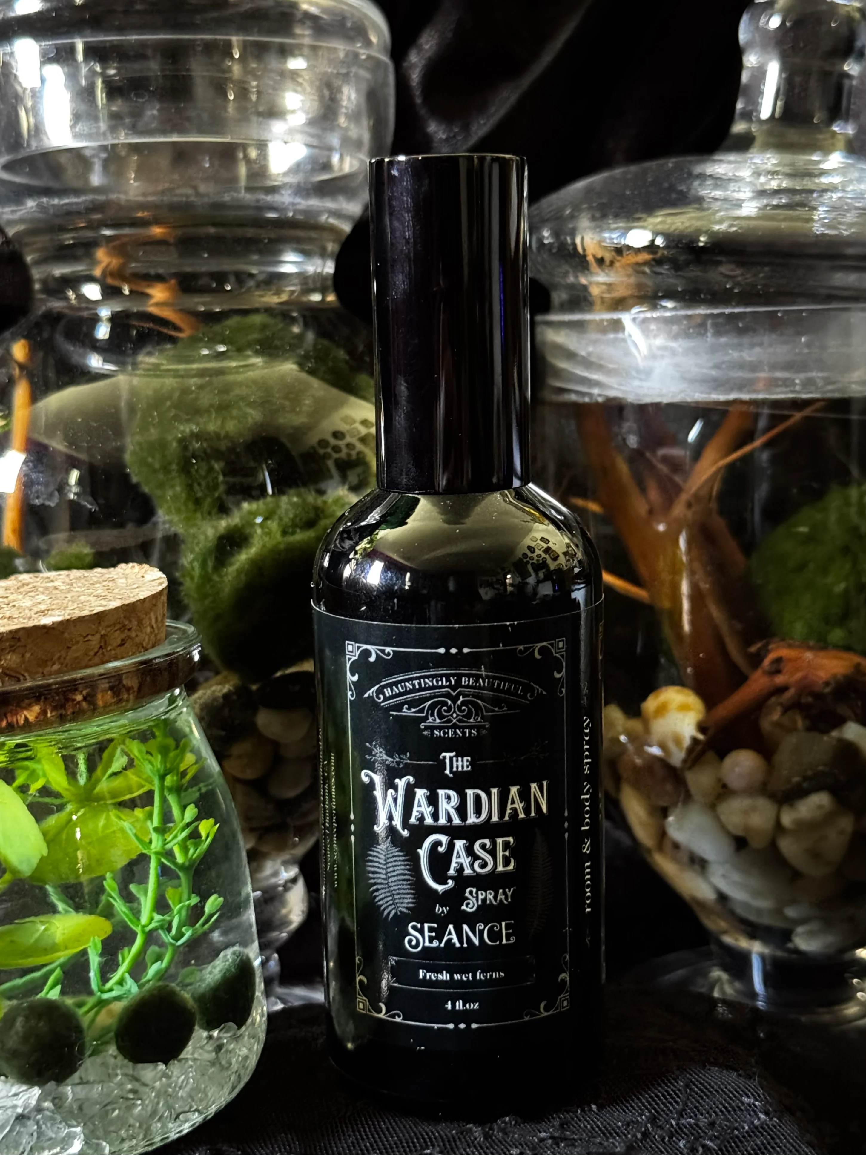 The Wardian Case Spray (fern terrarium) - Image 3