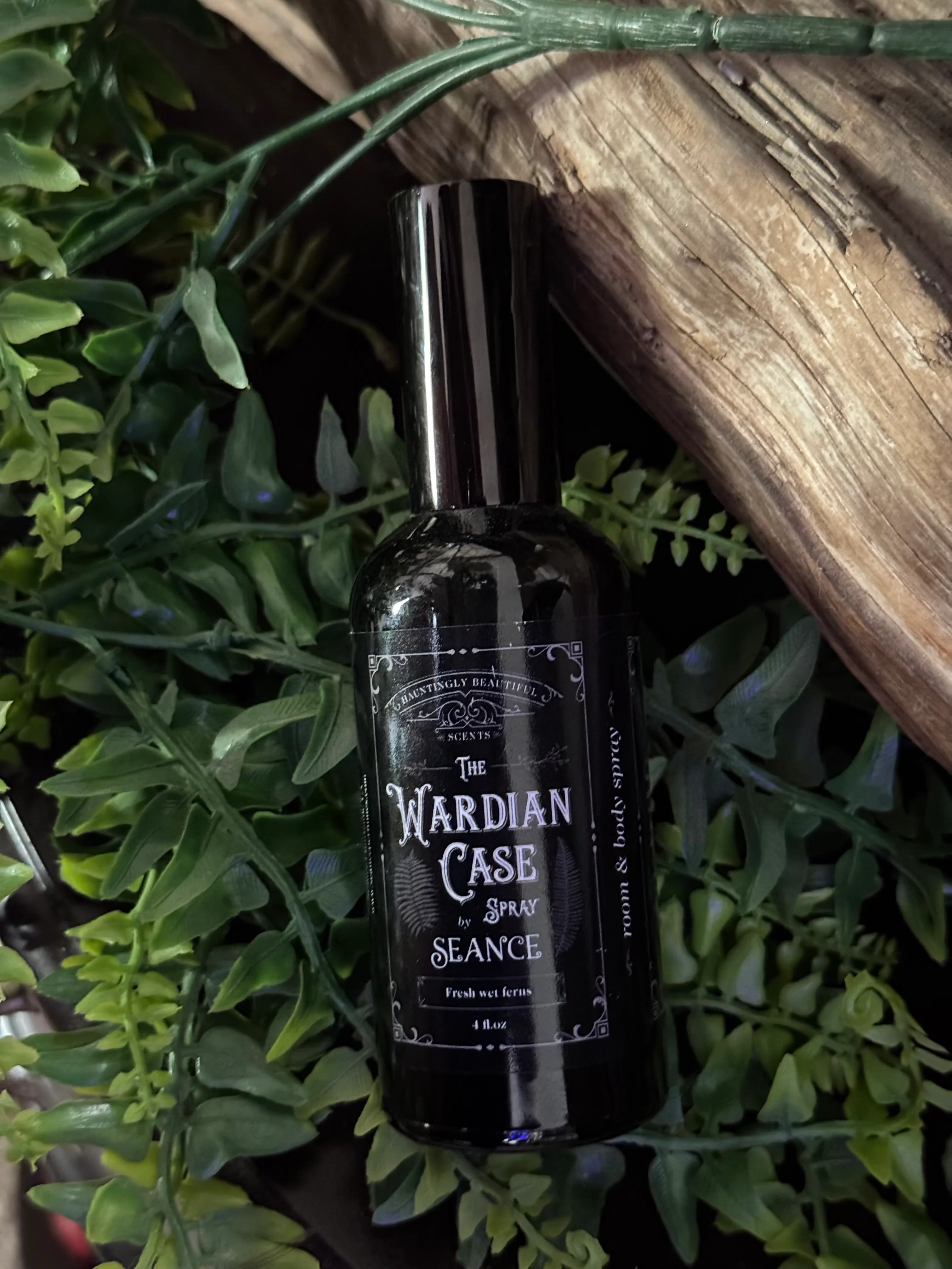The Wardian Case Spray (fern terrarium) - Image 4