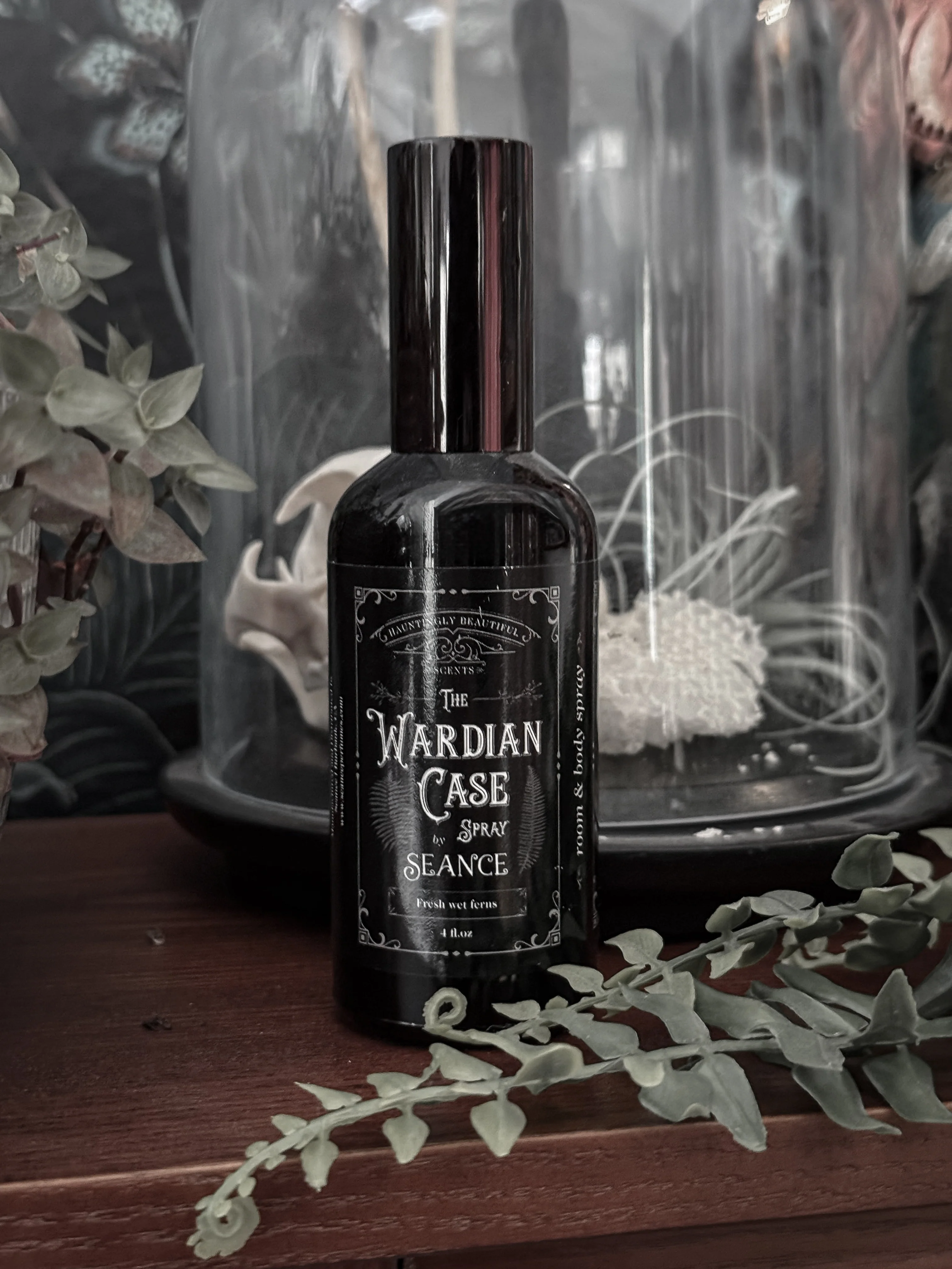The Wardian Case Spray (fern terrarium) - Image 5