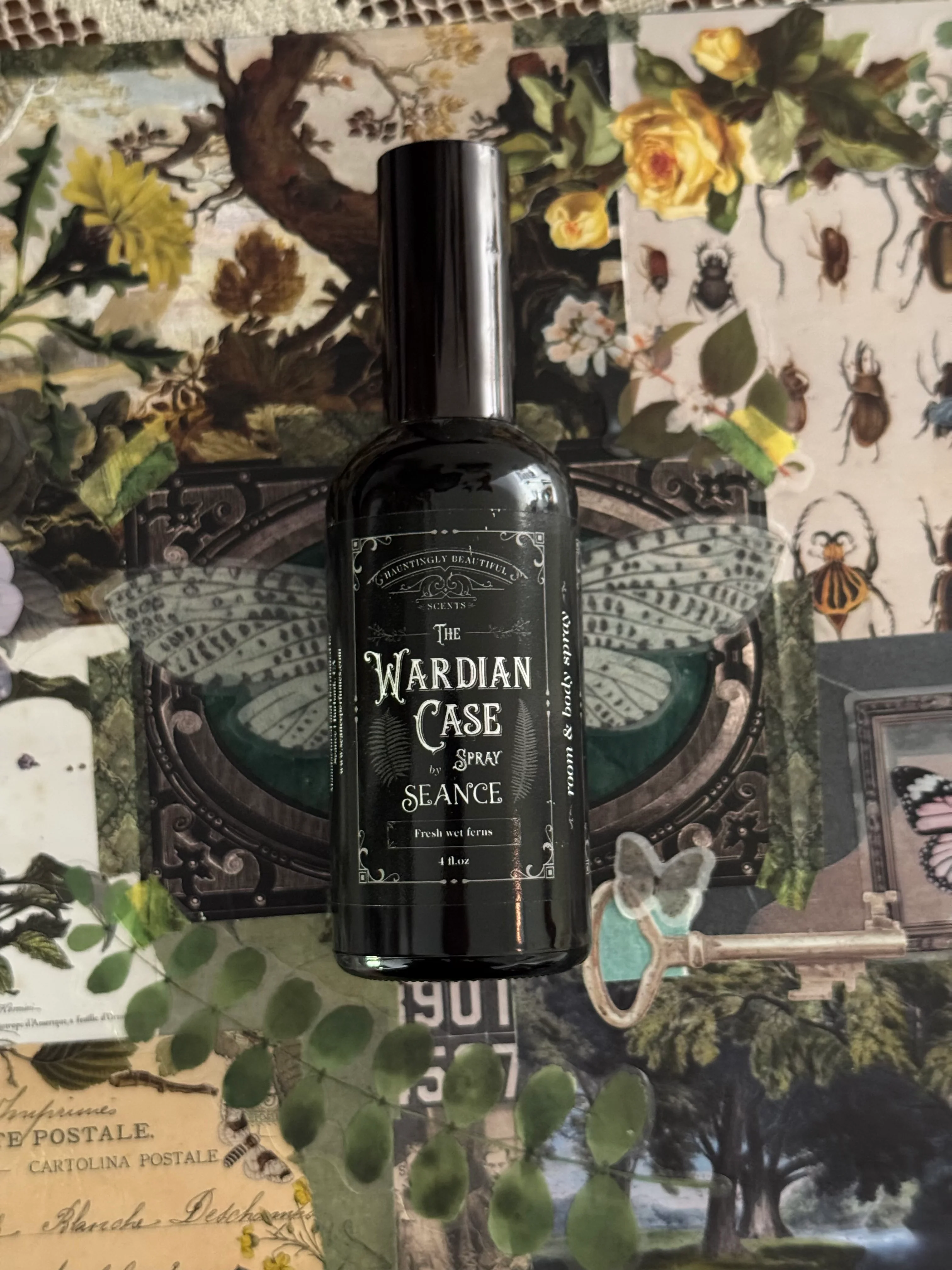 The Wardian Case Spray (fern terrarium) - Image 7