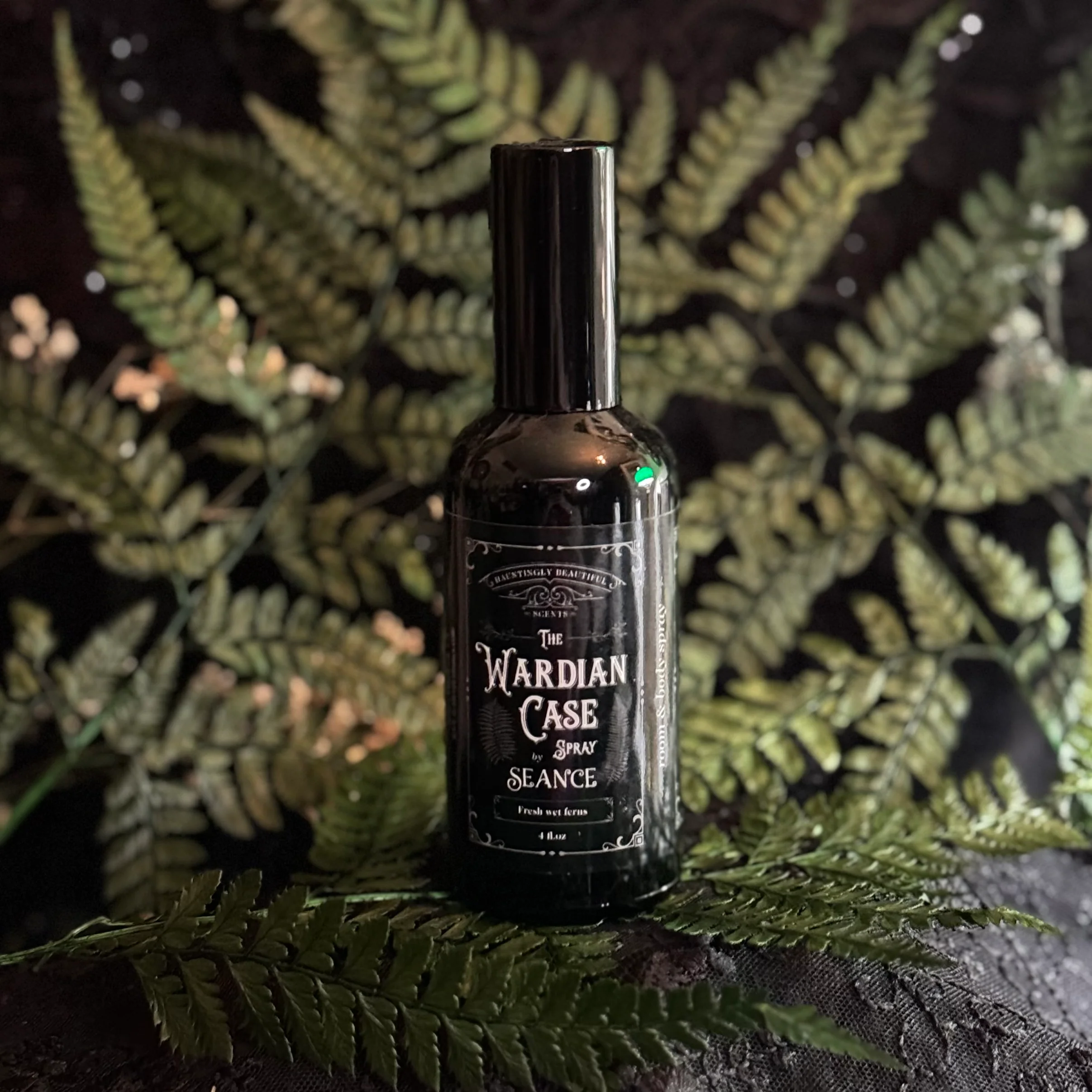 The Wardian Case Spray (fern terrarium) - Image 8