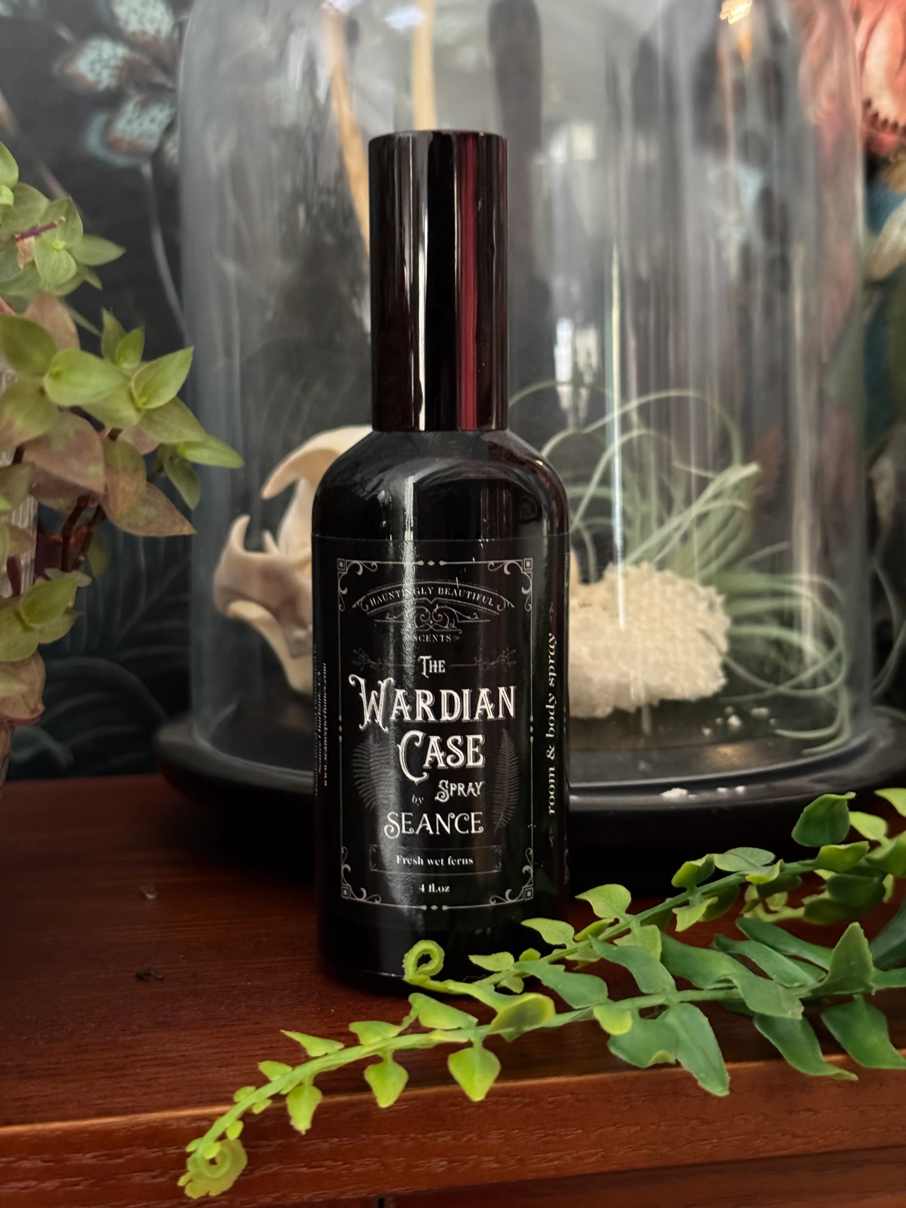 The Wardian Case Spray (fern terrarium) - Image 9